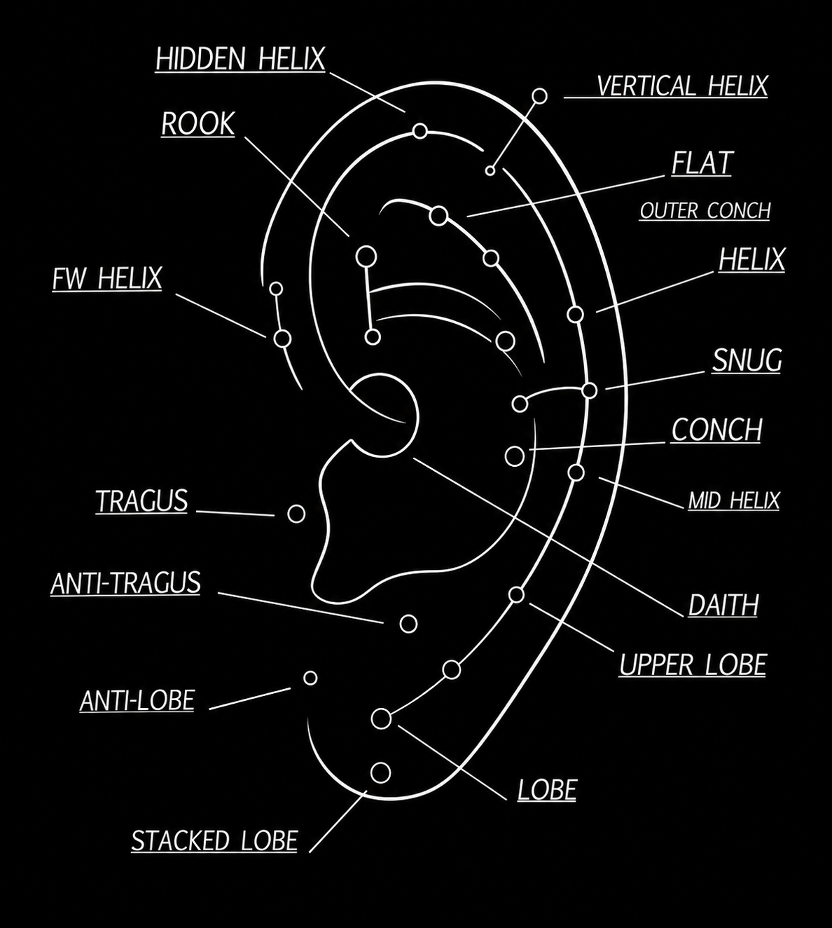Ear piercing placement diagram